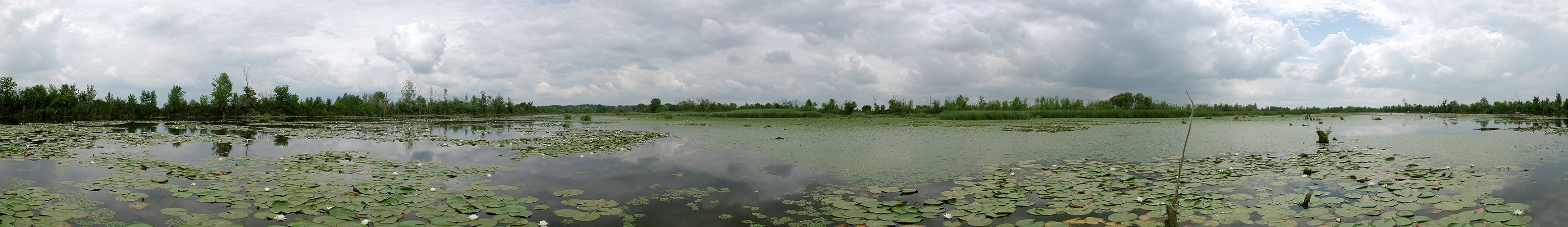 p12 panoráma tájkép