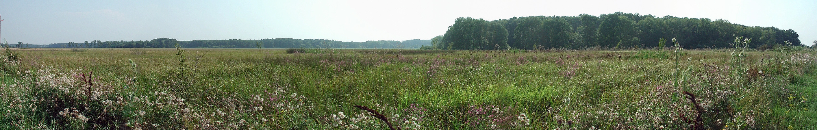 p15 panoráma tájkép