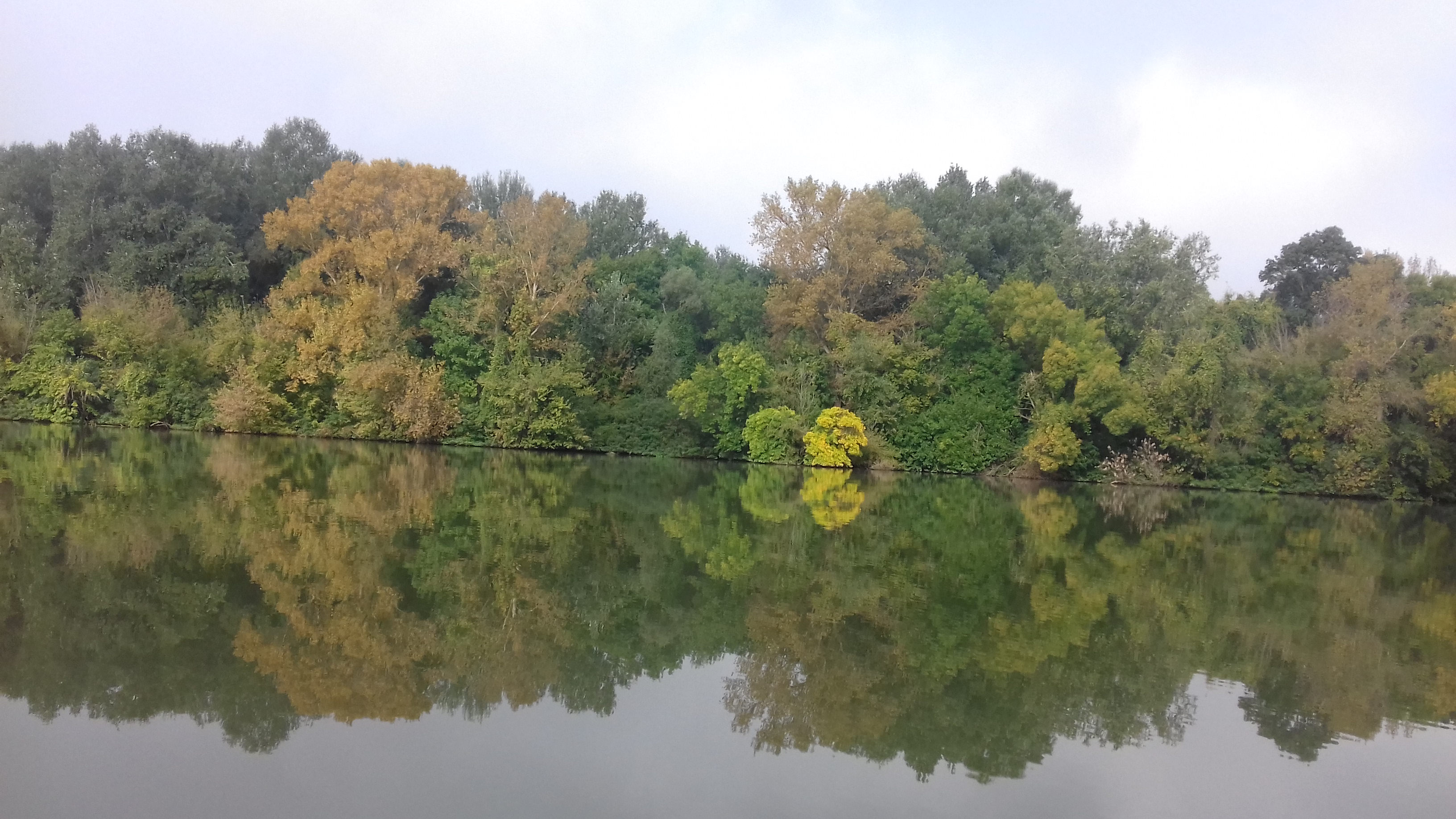 A Tisza-tó tükre, HNPI